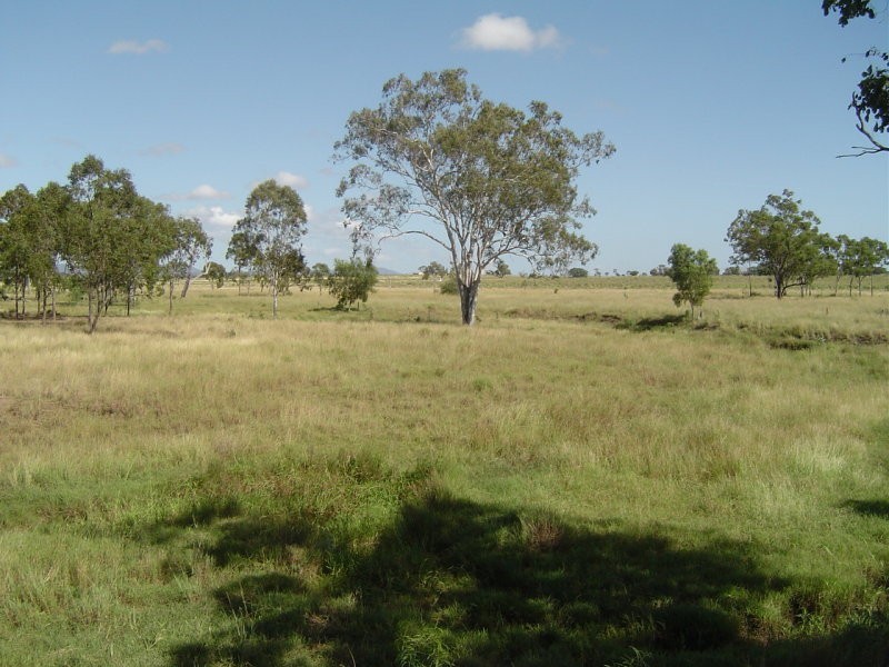 Alton Downs QLD 4702