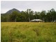 Cawarral QLD 4702