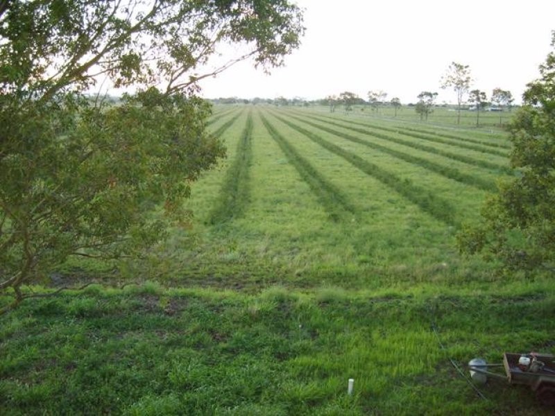 Alton Downs QLD 4702