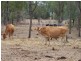 Bushley QLD 4702