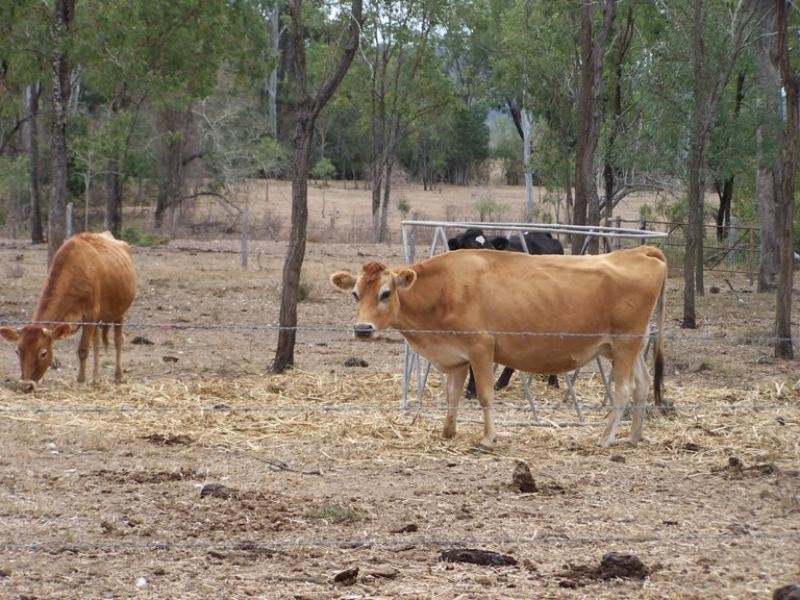 Bushley QLD 4702