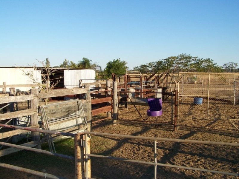 46 Hughes Road, Alton Downs QLD 4702