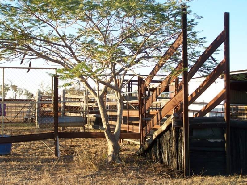 46 Hughes Road, Alton Downs QLD 4702