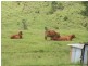 Dalma QLD 4702