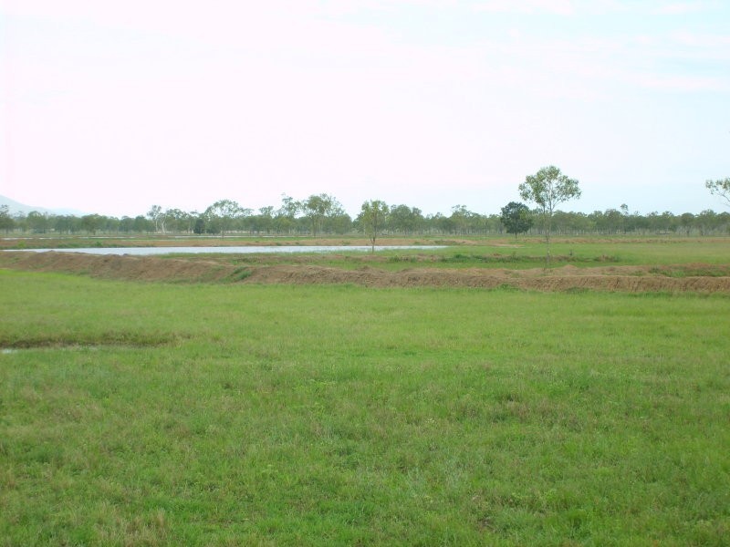 Alton Downs QLD 4702