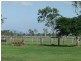 Alton Downs QLD 4702