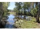 328 Sleipner Road, Mount Chalmers QLD 4702