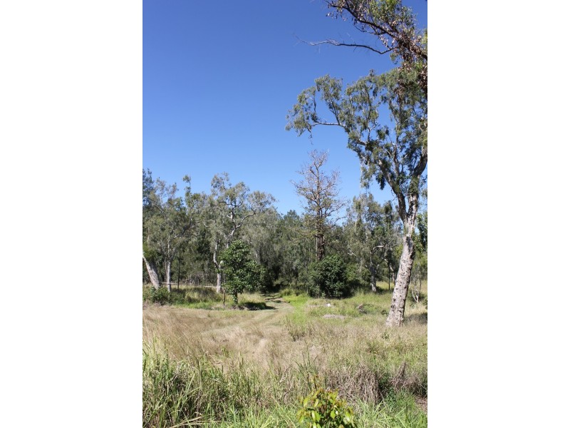 328 Sleipner Road, Mount Chalmers QLD 4702