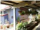 135 Archer Road, Struck Oil QLD 4714