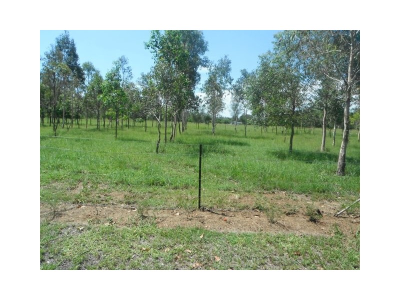 1485 Raglan Station Rd, Raglan QLD 4697