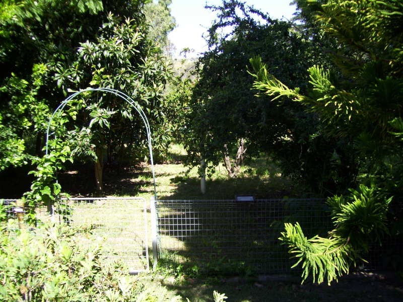 14 Glen Gordan street, Mount Morgan QLD 4714