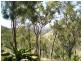 41 Grant Road, Moongan QLD 4714