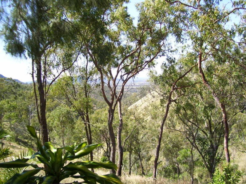 41 Grant Road, Moongan QLD 4714