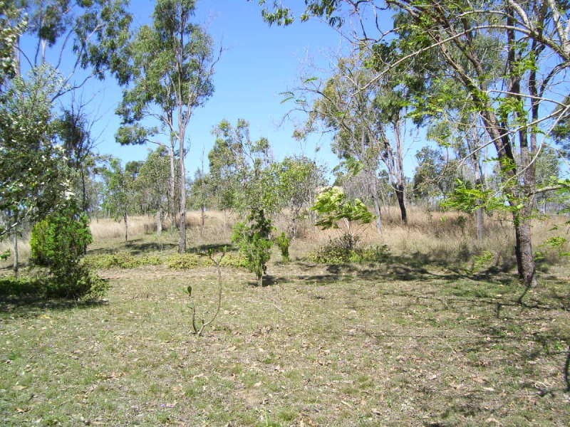 41 Grant Road, Moongan QLD 4714
