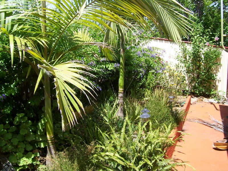 61 Dee Street, Mount Morgan QLD 4714