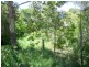 102 Gordon Lane, Mount Morgan QLD 4714