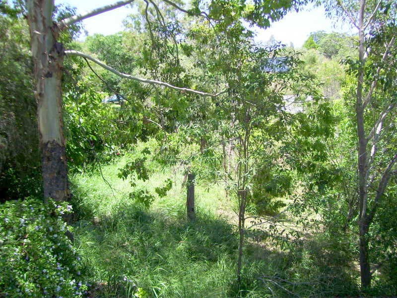 102 Gordon Lane, Mount Morgan QLD 4714