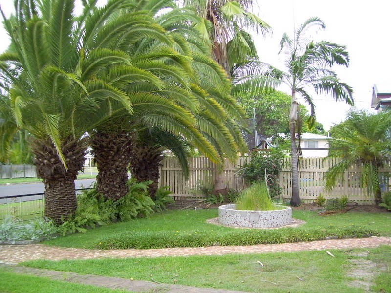 38 Hartley Street, Wandal QLD 4700