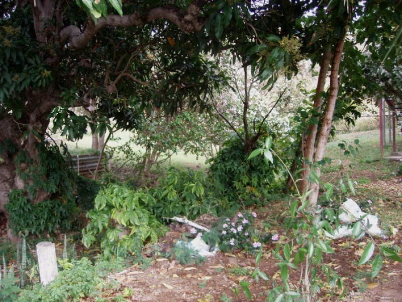 77 Hall Street, Mount Morgan QLD 4714