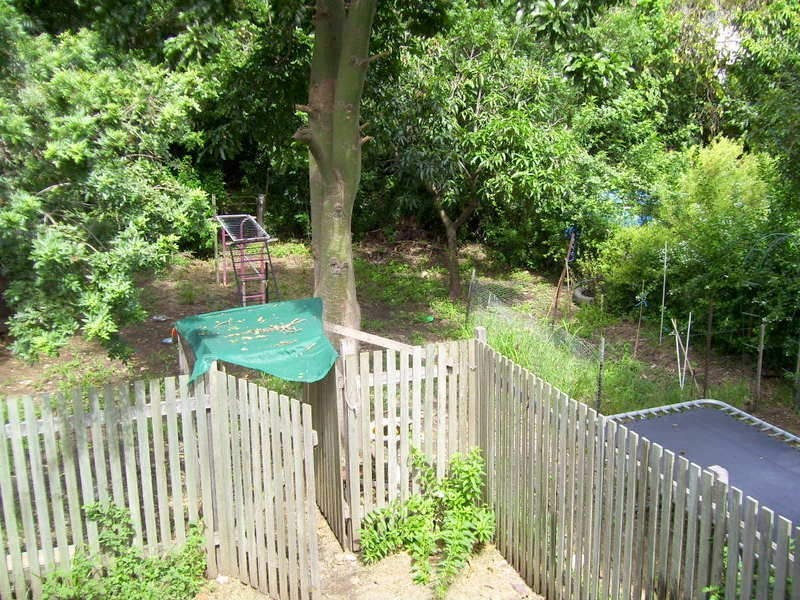 3 Butler Street, Mount Morgan QLD 4714