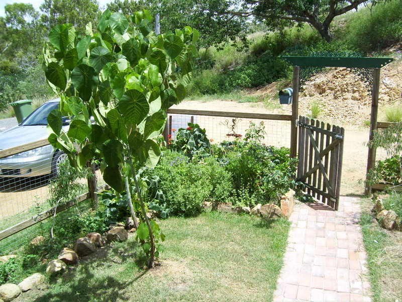 42 Gordon Street, Mount Morgan QLD 4714