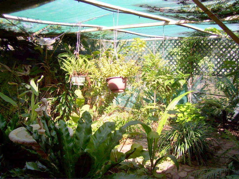 20 Hempseeds Road, Walmul QLD 4714