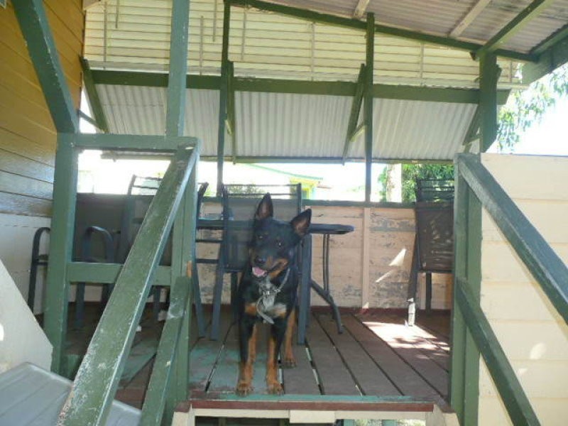 13 River Street, Mount Morgan QLD 4714