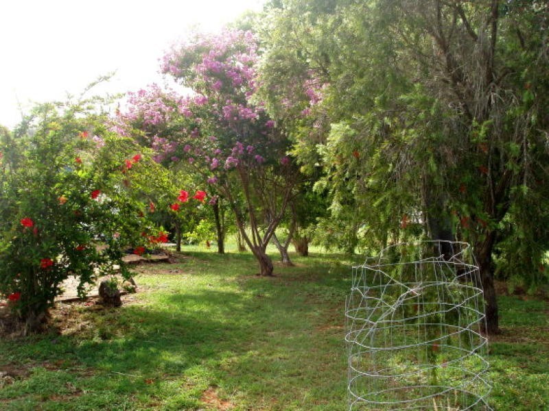 5 Baldwin Street, Mount Morgan QLD 4714