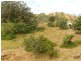 7 Racecourse Rd, Mount Morgan QLD 4714