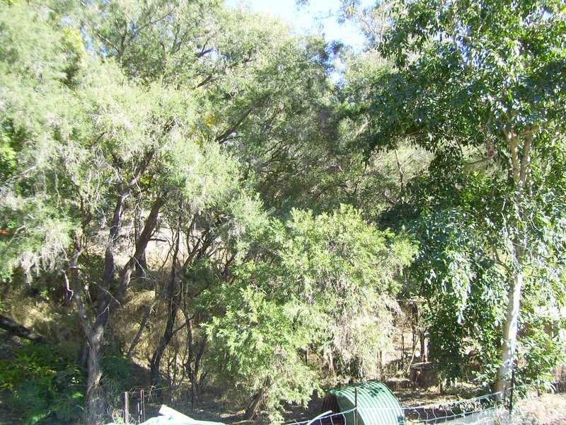 Mount Morgan QLD 4714