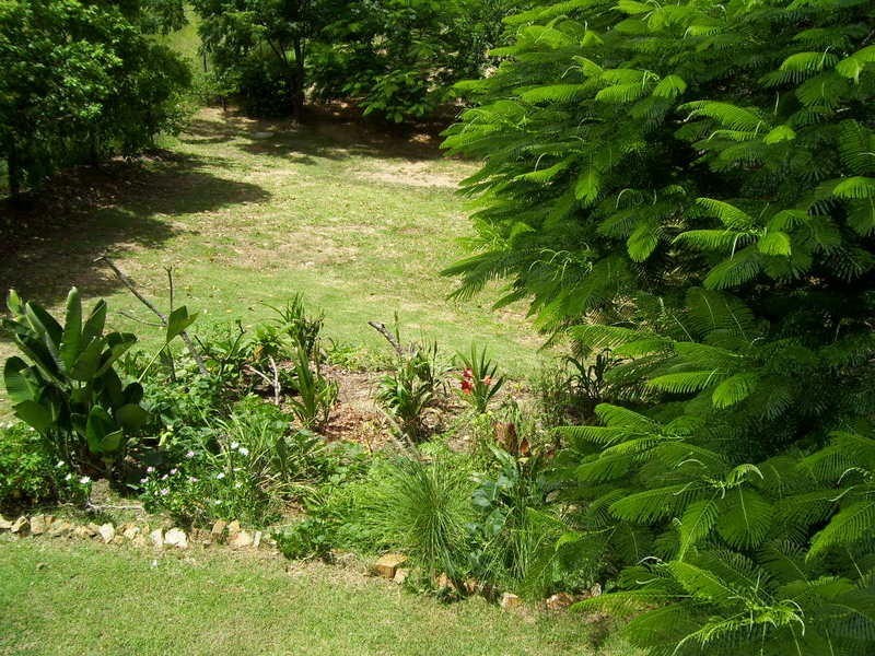 Mount Morgan QLD 4714