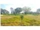32 Pink Lily Road, Pink Lily QLD 4702