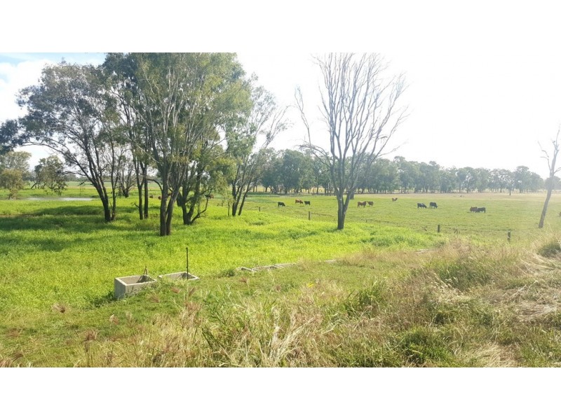 32 Pink Lily Road, Pink Lily QLD 4702
