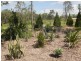 147 Oxley Street, Gracemere QLD 4702