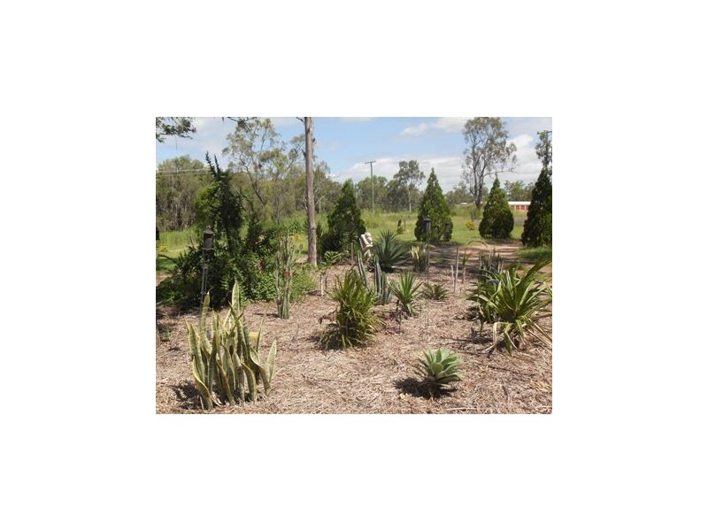 147 Oxley Street, Gracemere QLD 4702