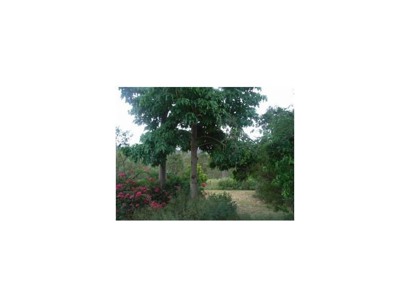 15  Grant Road, Moongan QLD 4714