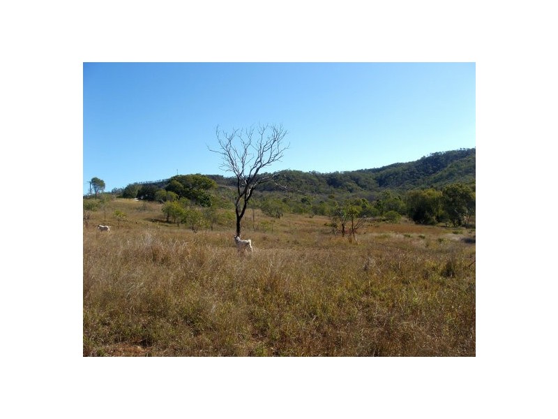 19 Rifle Range Rd, Mount Morgan QLD 4714