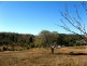 19 Rifle Range Rd, Mount Morgan QLD 4714