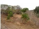 53 Jeannie St, Mount Morgan QLD 4714