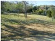 8a Dublin Lane, Mount Morgan QLD 4714