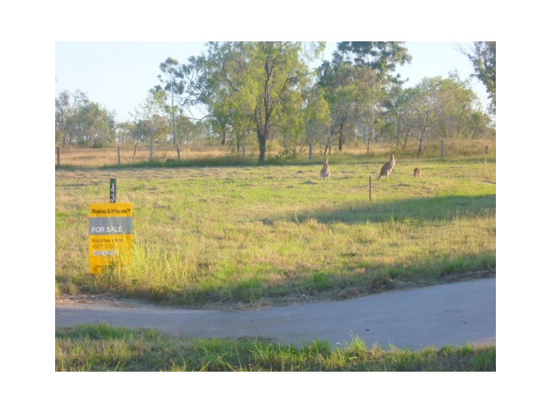 43 Ingram Drive, Gracemere QLD 4702