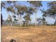 251 Warcons Road, Cawarral QLD 4702