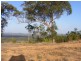 251 Warcons Road, Cawarral QLD 4702