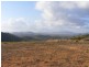 251 Warcons Road, Cawarral QLD 4702