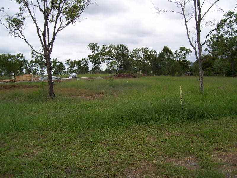 3 Tippett Crescent, Gracemere QLD 4702