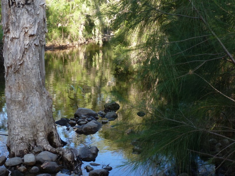 Limestone Creek QLD 4701