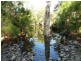 Limestone Creek QLD 4701