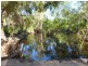 Limestone Creek QLD 4701