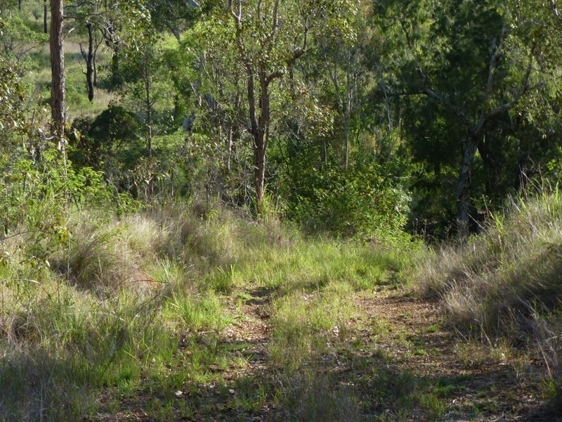 Limestone Creek QLD 4701