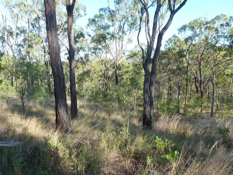 Limestone Creek QLD 4701